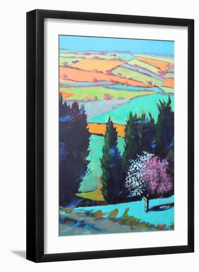 Teme Valley blossom close up-Paul Powis-Framed Giclee Print