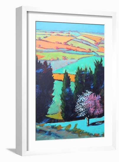 Teme Valley blossom close up-Paul Powis-Framed Giclee Print