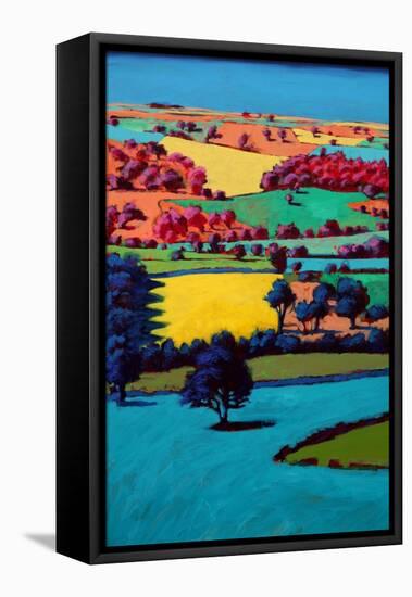 Teme Valley III-Paul Powis-Framed Premier Image Canvas