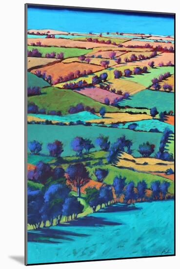 Teme Valley summer I-Paul Powis-Mounted Giclee Print