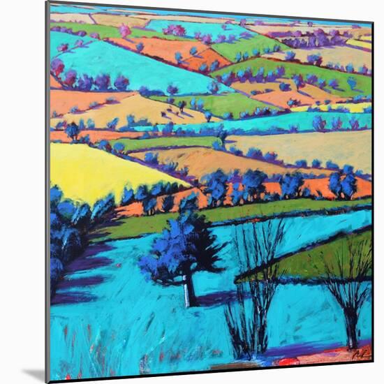 Teme Valley summer II-Paul Powis-Mounted Giclee Print