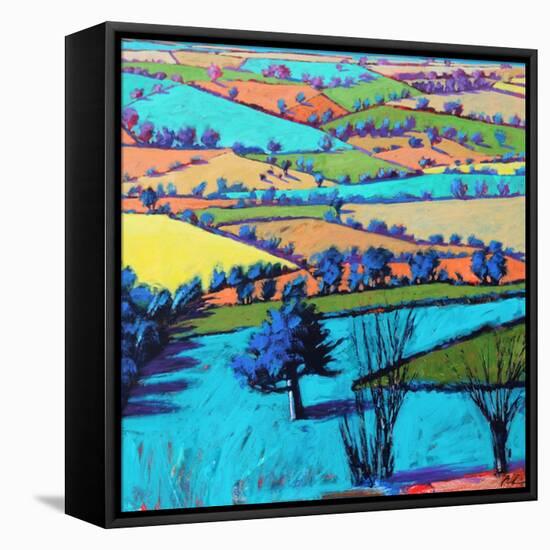 Teme Valley summer II-Paul Powis-Framed Premier Image Canvas