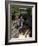 Temperance River State Park, Schroeder, Minnesota, USA-Peter Hawkins-Framed Photographic Print