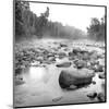 Temperance River-Stephen Gassman-Mounted Art Print