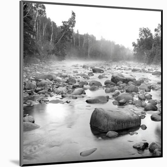 Temperance River-Stephen Gassman-Mounted Art Print