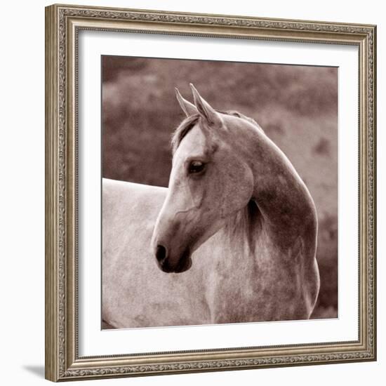 Tempest-Susan Friedman-Framed Photographic Print