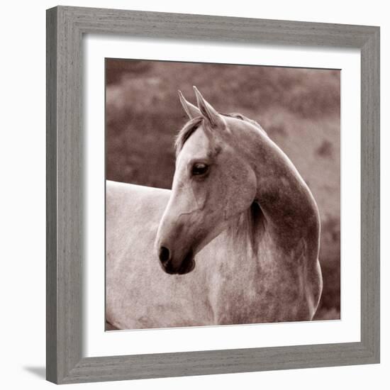 Tempest-Susan Friedman-Framed Photographic Print