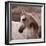 Tempest-Susan Friedman-Framed Photographic Print