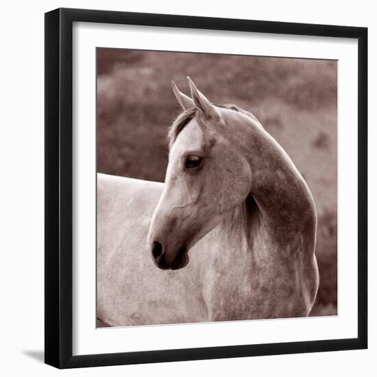 Tempest-Susan Friedman-Framed Photographic Print