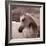 Tempest-Susan Friedman-Framed Photographic Print