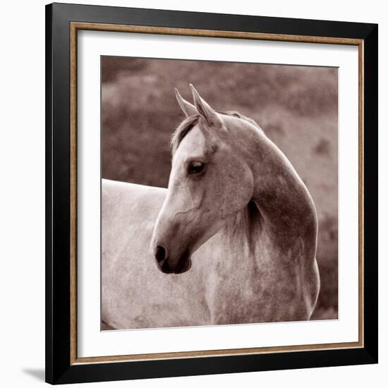 Tempest-Susan Friedman-Framed Photographic Print