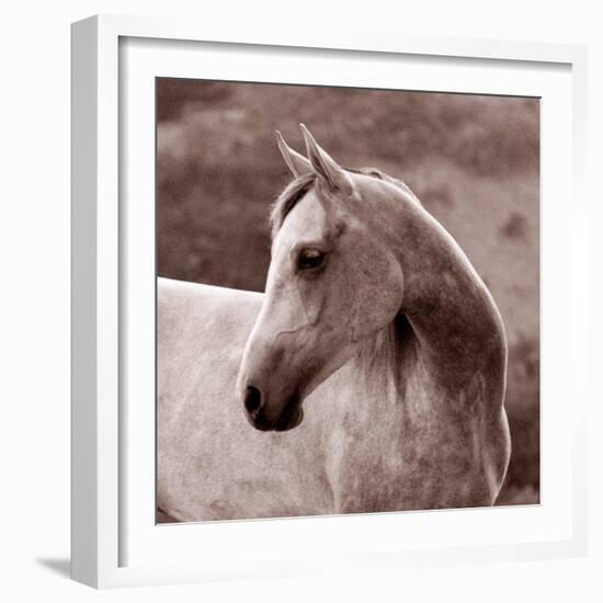 Tempest-Susan Friedman-Framed Photographic Print