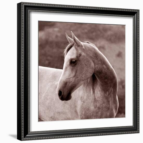 Tempest-Susan Friedman-Framed Photographic Print