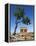 Tempio Di Concordia (Concord) and Almond Tree, Valle Dei Templi, UNESCO World Heritage Site, Agrige-Stuart Black-Framed Premier Image Canvas