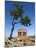 Tempio Di Concordia (Concord) and Almond Tree, Valle Dei Templi, UNESCO World Heritage Site, Agrige-Stuart Black-Mounted Photographic Print