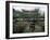 Temple Beauty of Bamboo Village, Kunming, China-Bill Bachmann-Framed Photographic Print