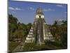 Temple I or Temple of the Giant Jaguar at Tikal-Danny Lehman-Mounted Photographic Print