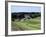Temple I with the Pyramid Surmounted by a Temple and a View of the Northern Area, Camalcalcoo-null-Framed Giclee Print
