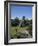 Temple II, Great Plaza, Tikal, UNESCO World Heritage Site, Guatemala, Central America-Traverso Doug-Framed Photographic Print