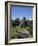 Temple II, Great Plaza, Tikal, UNESCO World Heritage Site, Guatemala, Central America-Traverso Doug-Framed Photographic Print