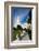 Temple in San Diego-Andy777-Framed Photographic Print