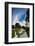 Temple in San Diego-Andy777-Framed Photographic Print