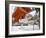 Temple, Koyason Region, Japan-Gavriel Jecan-Framed Photographic Print