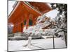 Temple, Koyason Region, Japan-Gavriel Jecan-Mounted Photographic Print