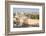 Temple Mount, Dome of the Rock, Redeemer Church and Old City in Jerusalem, Israel, Middle East-Alexandre Rotenberg-Framed Photographic Print