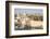 Temple Mount, Dome of the Rock, Redeemer Church and Old City in Jerusalem, Israel, Middle East-Alexandre Rotenberg-Framed Photographic Print