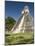 Temple No. 1 (Jaguar Temple), Tikal, UNESCO World Heritage Site, Peten, Guatemala-null-Mounted Photographic Print