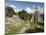 Temple No. 1 (Jaguar Temple) With North Acropolis on the Left, Tikal, Guatemala-null-Mounted Photographic Print