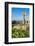 Temple of Apollo at the Acropolis, Rhodes, Dodecanese, Greek Islands, Greece, Europe-Michael Runkel-Framed Photographic Print