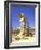 Temple of Dioscuri, Agrigento, Sicily, Italy-Peter Thompson-Framed Photographic Print