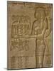 Temple of Hathor, Dendera, Egypt, North Africa-Julia Bayne-Mounted Photographic Print