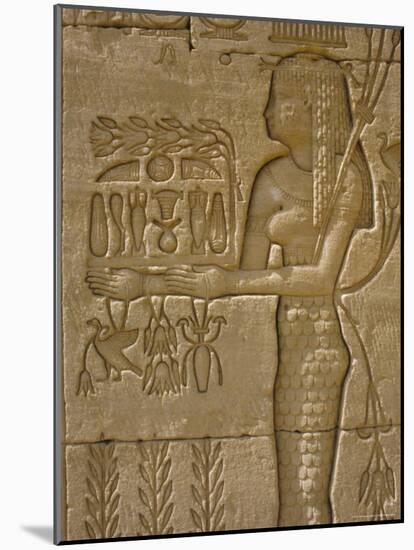 Temple of Hathor, Dendera, Egypt, North Africa-Julia Bayne-Mounted Photographic Print