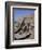 Temple of Re-Herakte Built for Ramses II, Abu Simbel, Unesco World Heritage Site, Nubia, Egypt-G Richardson-Framed Photographic Print