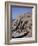 Temple of Re-Herakte Built for Ramses II, Abu Simbel, Unesco World Heritage Site, Nubia, Egypt-G Richardson-Framed Photographic Print