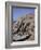 Temple of Re-Herakte Built for Ramses II, Abu Simbel, Unesco World Heritage Site, Nubia, Egypt-G Richardson-Framed Photographic Print