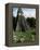 Temple of the Great Jaguar in the Grand Plaza, Mayan Ruins, Tikal, Peten-Robert Francis-Framed Premier Image Canvas