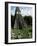 Temple of the Great Jaguar in the Grand Plaza, Mayan Ruins, Tikal, Peten-Robert Francis-Framed Photographic Print