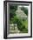 Temple of the Inscriptions (Mayan), Palenque, Mexico, Central America-Robert Francis-Framed Photographic Print
