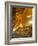 Temple of the Reclining Buddha, Bangkok, Thailand-Nico Tondini-Framed Photographic Print