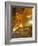 Temple of the Reclining Buddha, Bangkok, Thailand-Nico Tondini-Framed Photographic Print