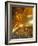 Temple of the Reclining Buddha, Bangkok, Thailand-Nico Tondini-Framed Photographic Print