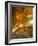 Temple of the Reclining Buddha, Bangkok, Thailand-Nico Tondini-Framed Photographic Print