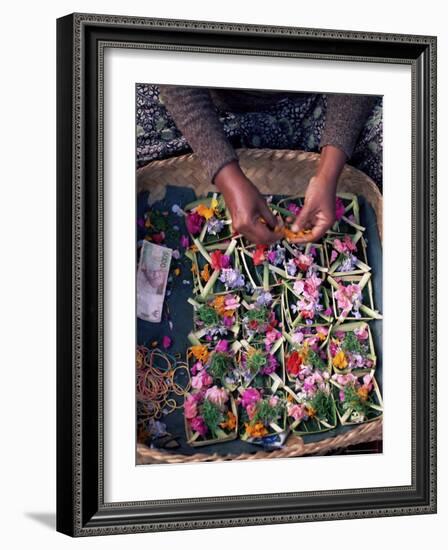 Temple Offerings, Mount Batur Area, Bali, Indonesia, Southeast Asia, Asia-Bruno Morandi-Framed Photographic Print