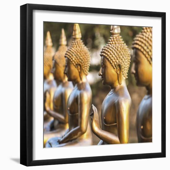 Temple Pathway - Detail-Peter Adams-Framed Giclee Print