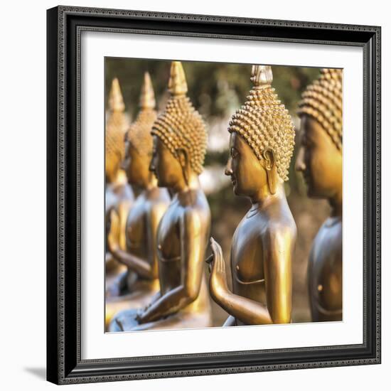 Temple Pathway - Detail-Peter Adams-Framed Giclee Print