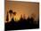 Temple Silhouetted at Sunset, Mae Hong Son, Thailand-Claudia Adams-Mounted Photographic Print